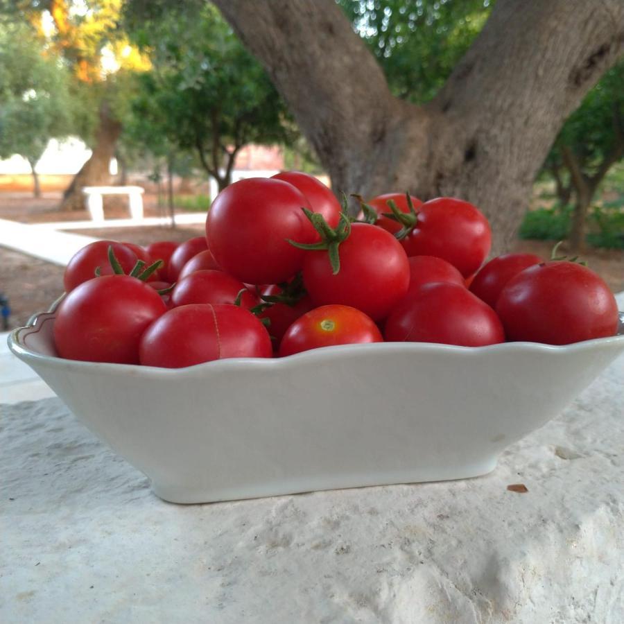 Dimora Torre Bianca Villa Ostuni Bagian luar foto