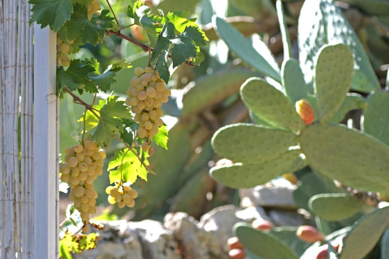 Dimora Torre Bianca Villa Ostuni Bagian luar foto